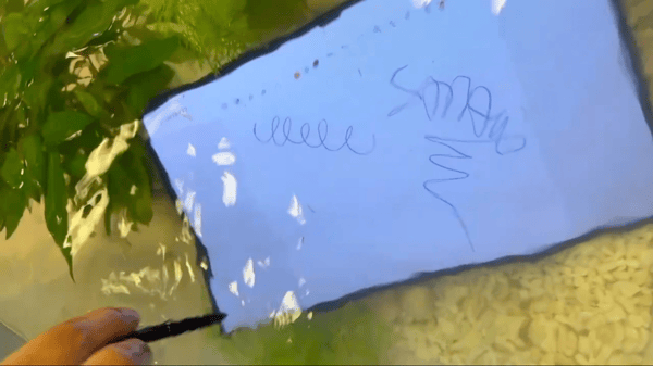Samsung Galaxy S9 Tab under vann
